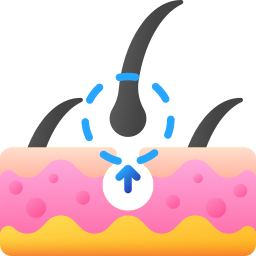 Hair Fall Solution Icon